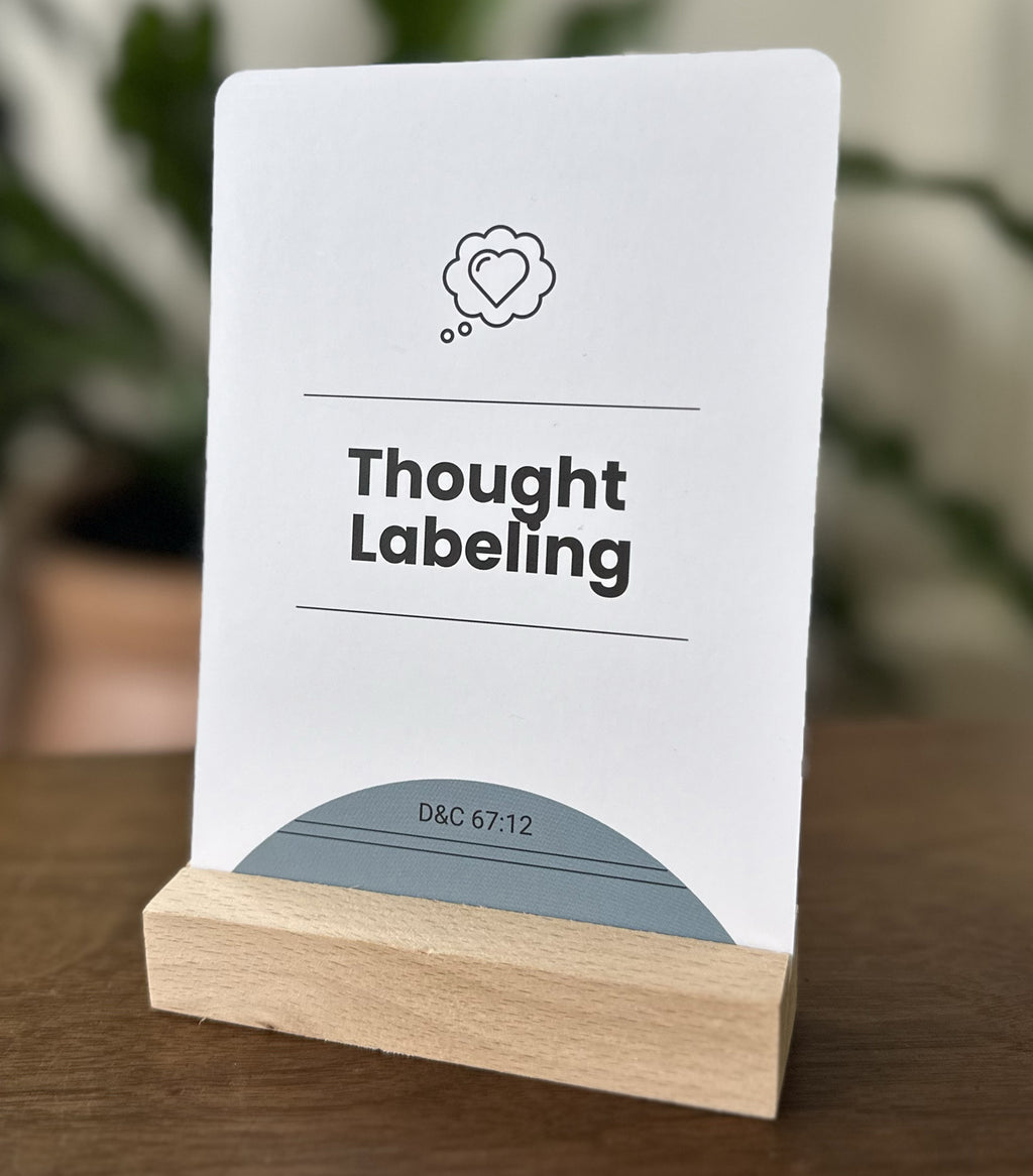 LDS Mental Health Skills Deck (Damaged Box)